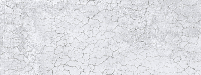 APAVISA ZINC wall coverings - 16 x 48 - (22.92 sqft - 4 pcs per  Box - 24  Boxes per Pallet)