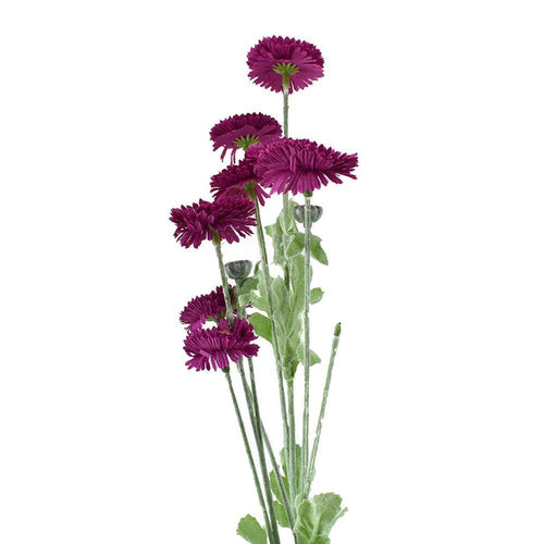 Artificial Aster Daisy Spray, Magenta, 29-Inch