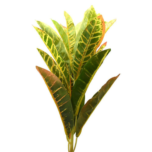 Artificial Croton Plant Spray, 21-Inch