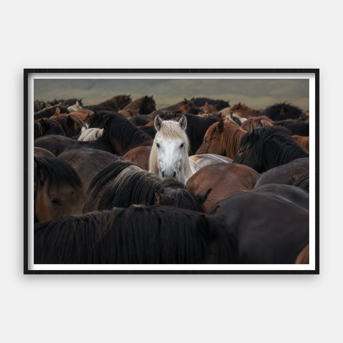 Born To Stand Out — Art Print Horizontal #01