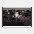 Born To Stand Out — Art Print Horizontal #01