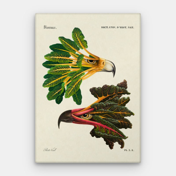 Chard Eagle Canvas — Canvas Vertical #01