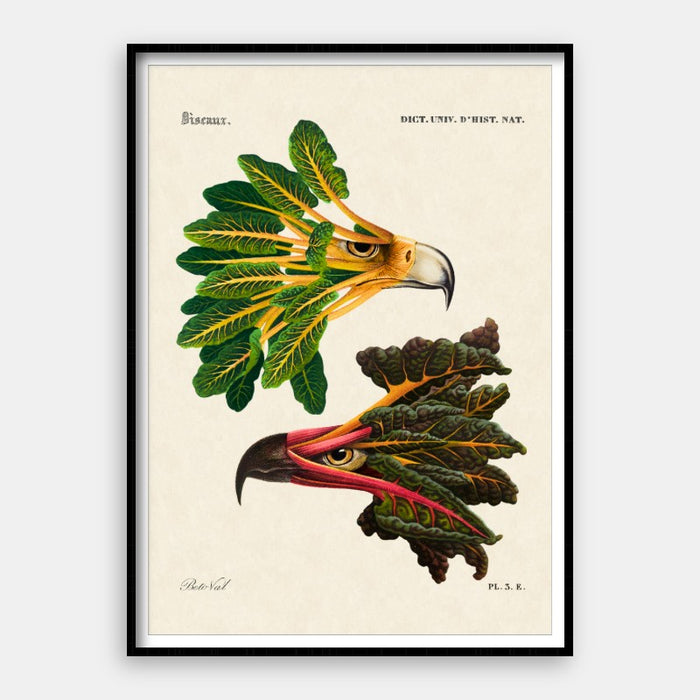 Chard Eagle — Art Print Vertical #01