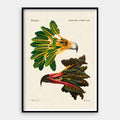 Chard Eagle — Art Print Vertical #01
