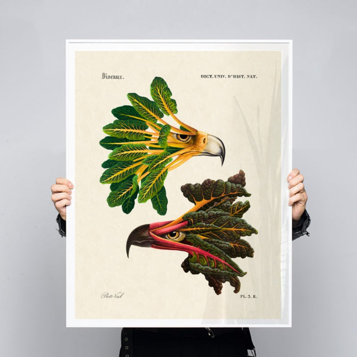 Chard Eagle — Art Print Vertical #03