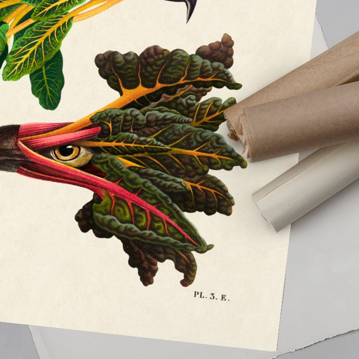 Chard Eagle — Art Print Vertical #06