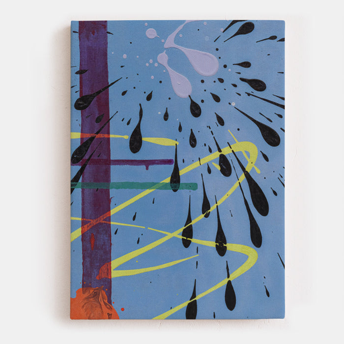 Controlled Chaos Canvas
