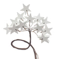 Craft Wooden Stars Wired Picks Bundle, White, 1-1/4-Inch, 12-Count