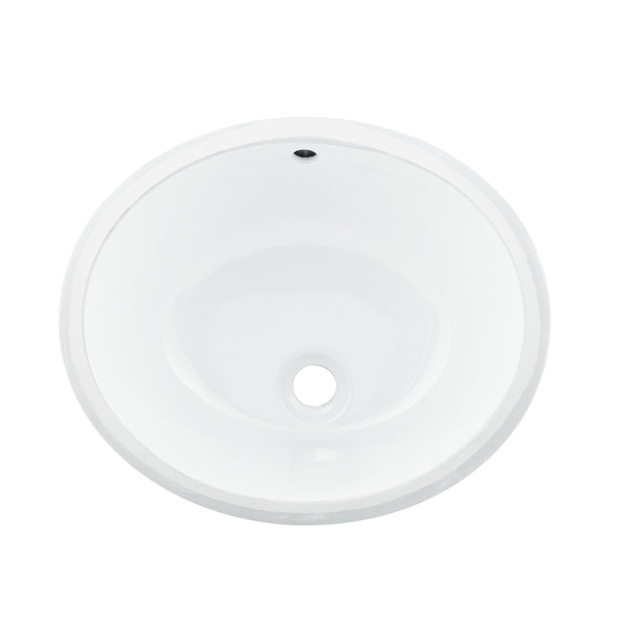 DAX Ceramic Oval Single Bowl Undermount Bathroom Sink, White Finish,  18-1/16 x 15-13/16 x 8-3/16 Inches (BSN-100)