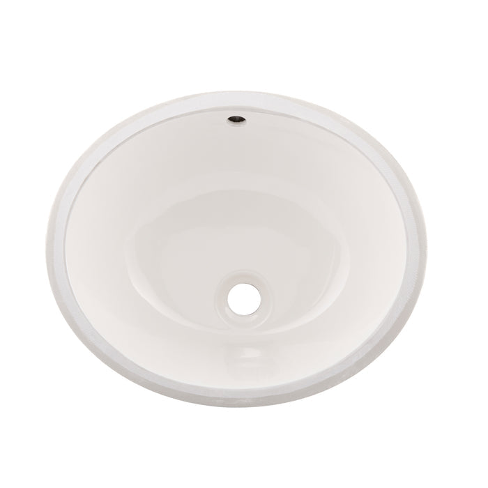 DAX Ceramic Oval Single Bowl Undermount Bathroom Sink, White Finish, 19-1/2 x 8-1/4 x 15-15/16 Inches (BSN-200)