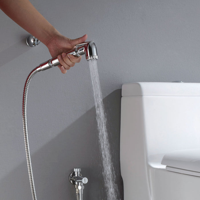 DAX Hand Shower Set, Wall Mount with Hose and Valve, Brass Body, Chrome Finish (DAX-9317C)