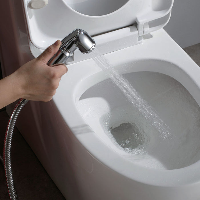 DAX Hand Shower Set, Wall Mount with Hose and Valve, Brass Body, Chrome Finish (DAX-9317C)