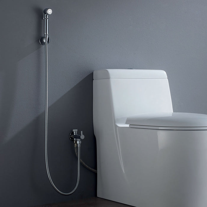 DAX Hand Shower Set, Wall Mount with Hose and Valve, Brass Body, Chrome Finish (DAX-9317C)