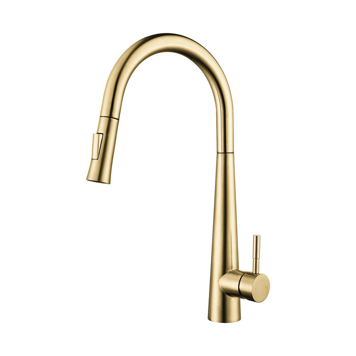 Gold kitchen faucet on a white background