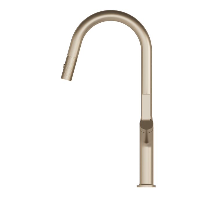 DAX Single Handle Pull Out Kitchen Faucet (DAX-8219)
