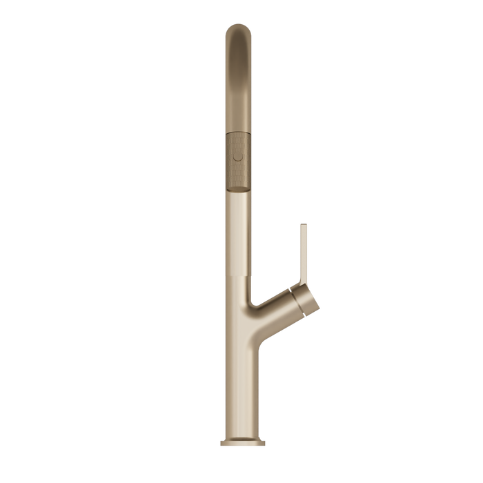 DAX Single Handle Pull Out Kitchen Faucet (DAX-8219)