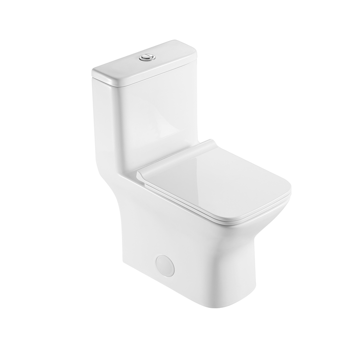 DAX Siphonic toilet one piece. S-Trap300MM Roughing-in (BSN-CL12248A)