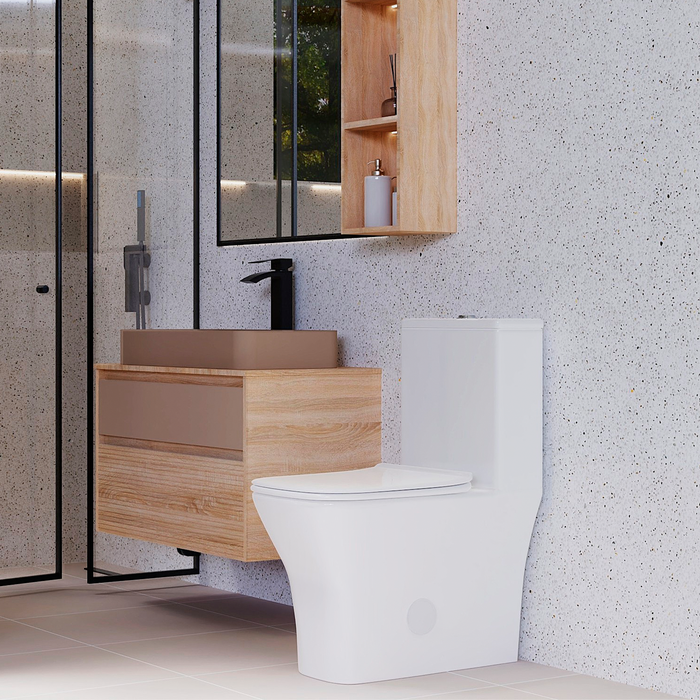DAX Siphonic toilet one piece. S-Trap300MM Roughing-in (BSN-CL12248A)