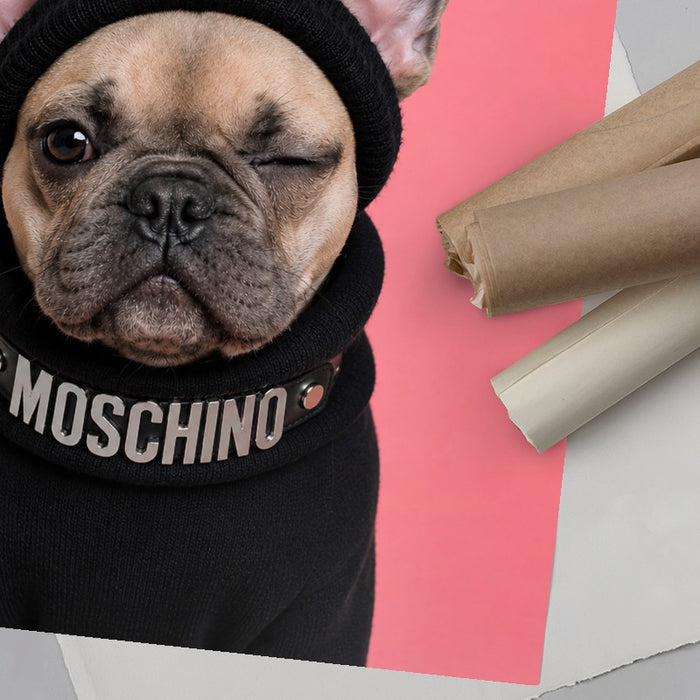 Dogue French Bulldog — Art Print Vertical #06