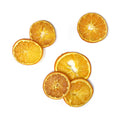 Dried Citrusy Orange Slices Bowl Filler, 20-Piece