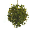 Hanging Japanese Moss Ornamental Ball, 4-1/2-Inch