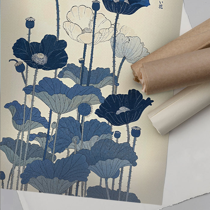 Kibo no aoi hana