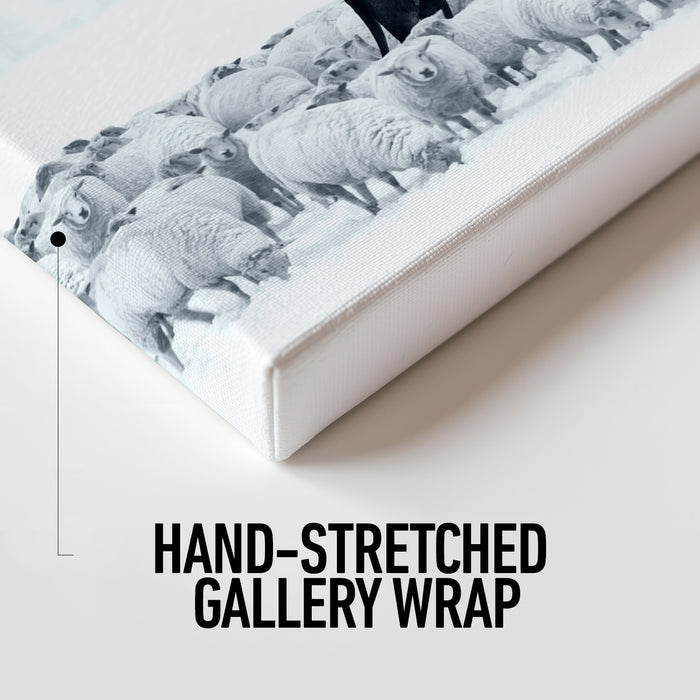 Lion Among Sheep Canvas