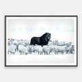 Lion Among Sheep