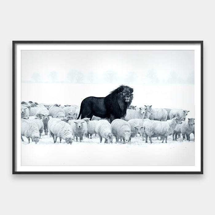 Lion Among Sheep