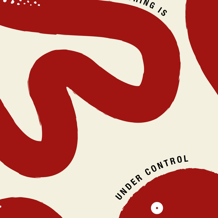 Nothing Is Under Control Canvas
