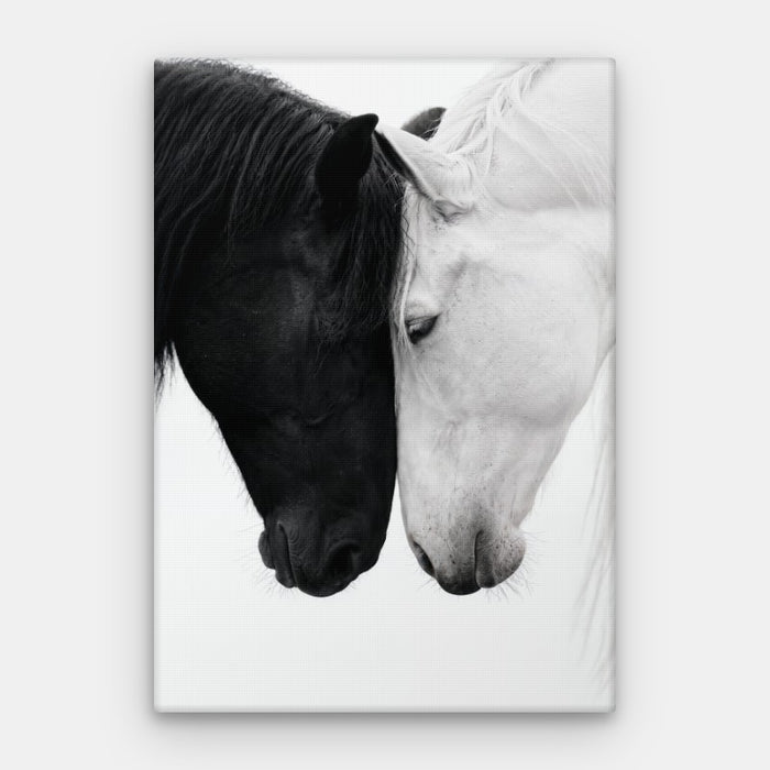Opposites Attract Canvas — Canvas Vertical #01