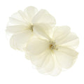 Organza Flowers with Beaded Center, 5-3/4-Inch, 2-Count, Ivory