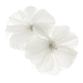 Organza Flowers with Beaded Center, 5-3/4-Inch, 2-Count, White