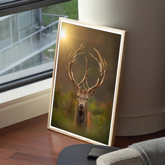 Peace My Deer