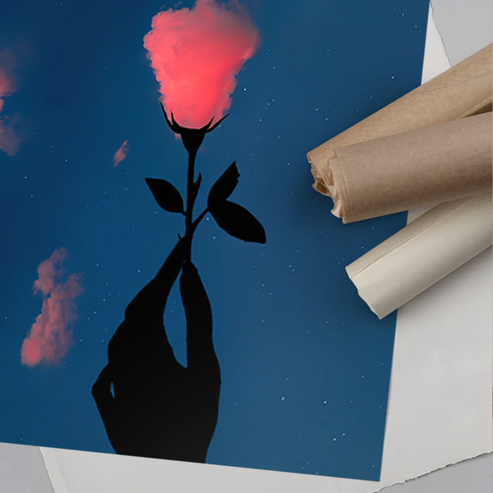 Pink Cloud Rose