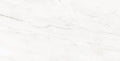 Porcelain Tile ARGENTA PACIFIC Flooring Collection by DAX