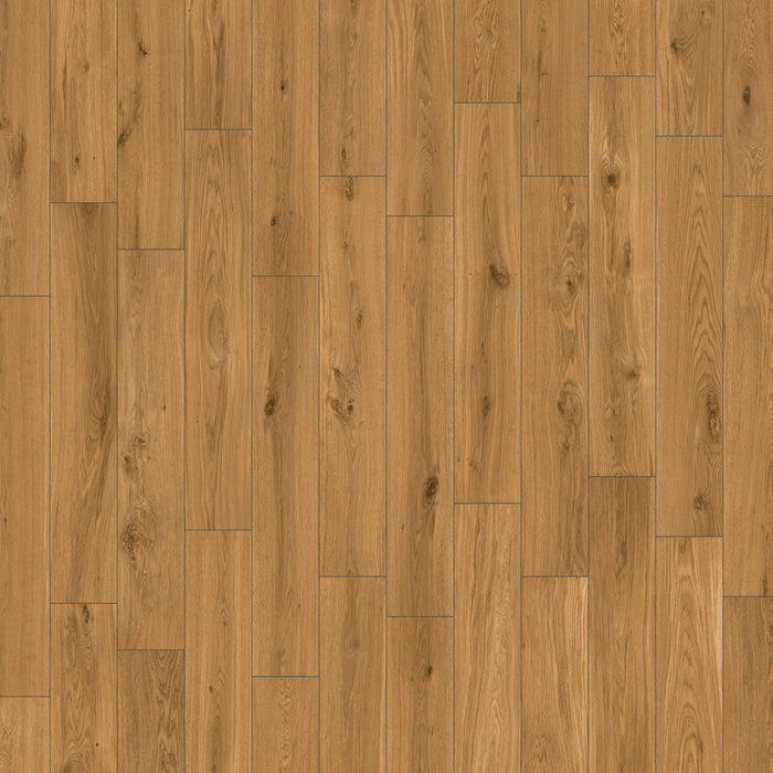 Miele Classico / 10" x 60"