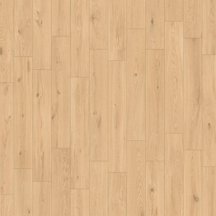 Flooring and Tile Collections by DAX 
High-quality and durable flooring tiles, available in a wide range of colors and textures. Perfect for any space, combining strength with stylish versatility. We offer the highest quality in our diverse lines of ceramic tile. Design and good taste combine to elevate the ambiance you want to create. Each of our showrooms and online stores features the latest international trends that will set the standard from 2025 to 2030. Order now in Daxib.com