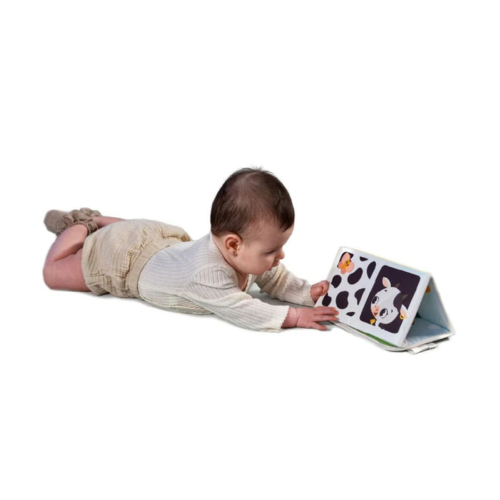 TINY LOVE FARMERS FUNDAY 2-IN-1 SENSORY TUMMY TIME TOY